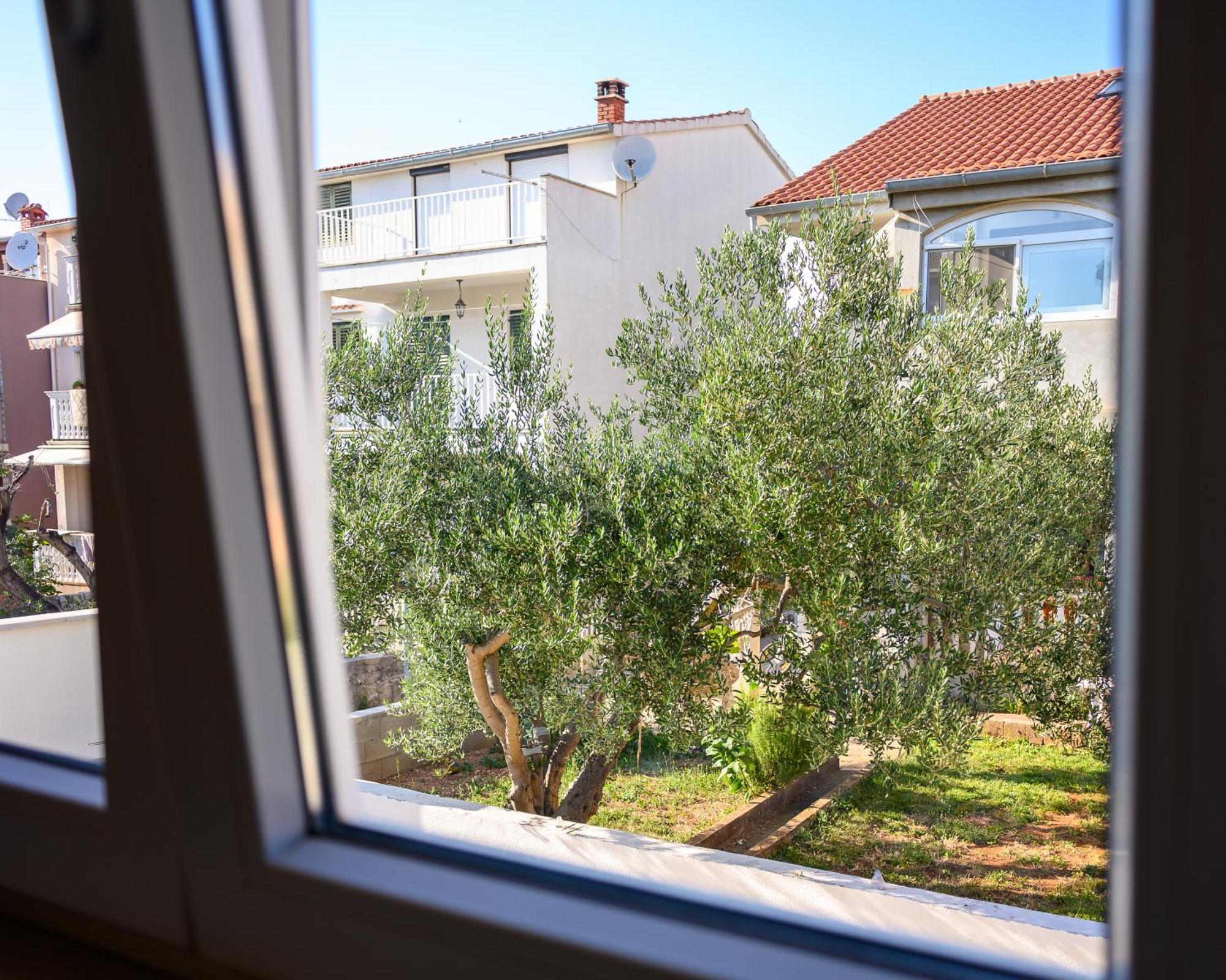 Apartment Antonio *